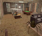 spiders2.jpg